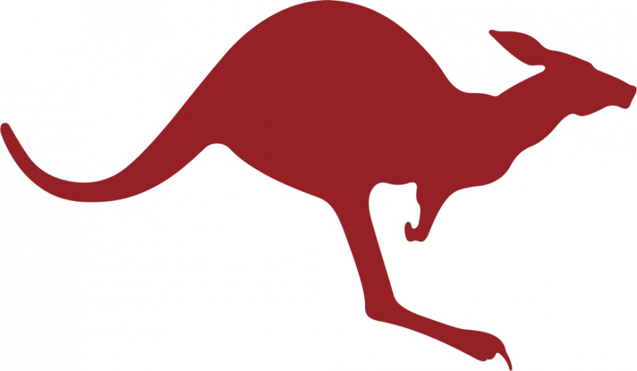 The plain red kangaroo adopted by all major fleet units in 1985.