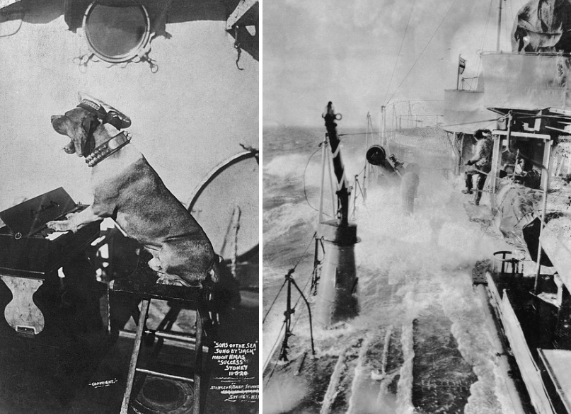 Left: A dog wearing a studded collar and a naval cap with a HMAS Success tally band, appearing to play a small piano. Original caption reads "Sons of the Sea' sung by 'Jack' mascot HMAS Success Sydney 11-5-20." (AWM P09219.029)  Right: Success sweeping through rough seas, for torpedos fired from HMAS Canberra. (AWM P09219.006)