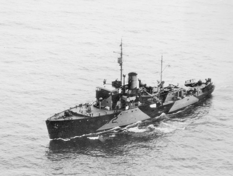 Wollongong in wartime camouflage.