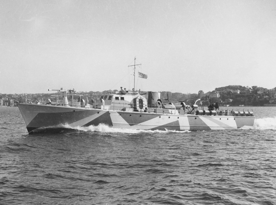 ML 814 wearing her distinctive disruptive pattern camouflage.