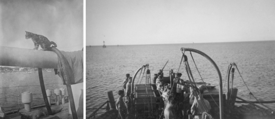 HMAS Toowoomba carried two mascots on board during World War II. Left: Digger. Right: A memorial service for the passing of Tiddles.