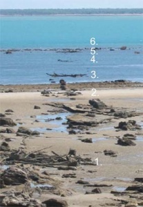 Remains of pylons exposed at low tide.