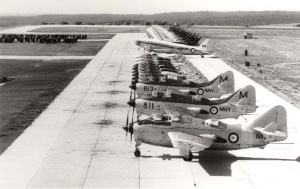 Aircraft on the tarmac at HMAS Albatross. In the foreground are Gannets followed by Sea Venoms, Sea Vampires, a Dakota and Wessex helicopters.