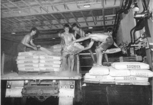 RAN sailors unloading bags of cement in Darwin.