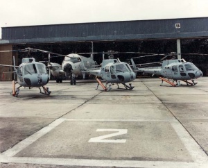 Squirrel helicopters and a HS748 in front 'B' Hangar at HMAS Albatross.