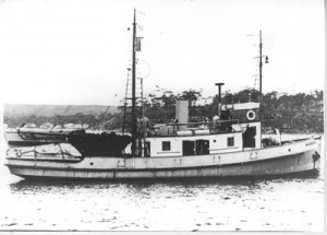 HMAS Warreen, circa 1950.