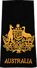 Warrant Officer