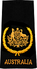 Warrant Officer of the Navy