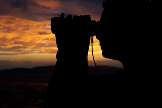 Sailor using binoculars to scan the horizon.