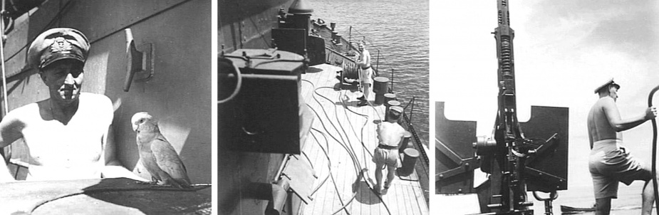 Left: Engineer Lieutenant JD Davidson and the ship's parrot (AWM 078150). Middle: Ratings checking the rewinding wire ropes on the winch drum. (AWM 078158) Right: The Officer of the Watch aboard Kiama. (AWM 078159)